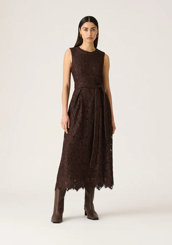 Nova Lace Dress - Cacoa - PRE ORDER