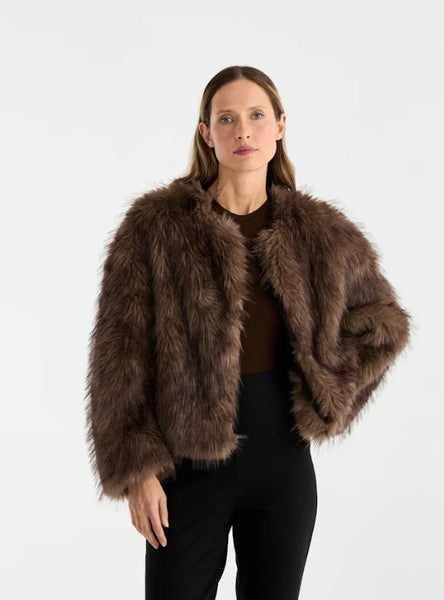 Ally Faux Fur Jacket - Multi