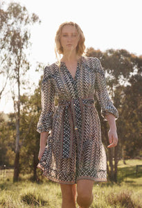 Bailey Crinkle Cotton Silk Dress - Bromegrass Print