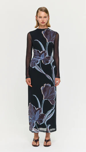 Stas Mesh Dress - Midnight Floral