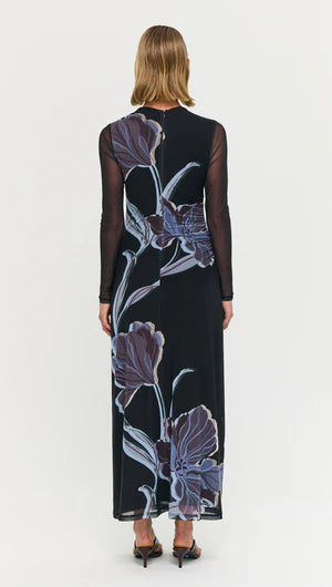 Stas Mesh Dress - Midnight Floral