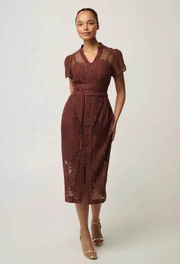 Solene Cotton Blend Lace Dress - Rosewood