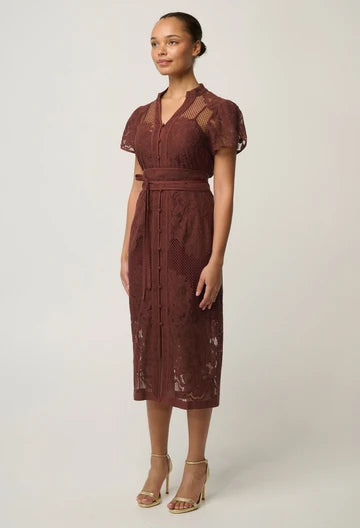 Solene Cotton Blend Lace Dress - Rosewood