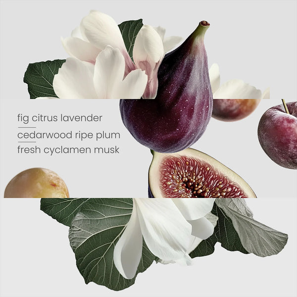 Figtree Candle 220g