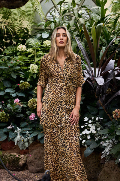Ningaloo Shirt - Wild Cat